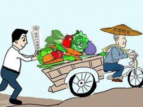 廣金電商扶貧發(fā)展特色產(chǎn)業(yè)，微商城助農(nóng)增收